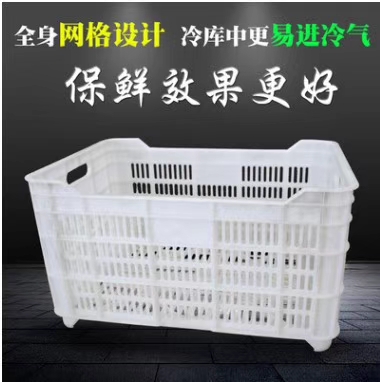 �㹽���D��